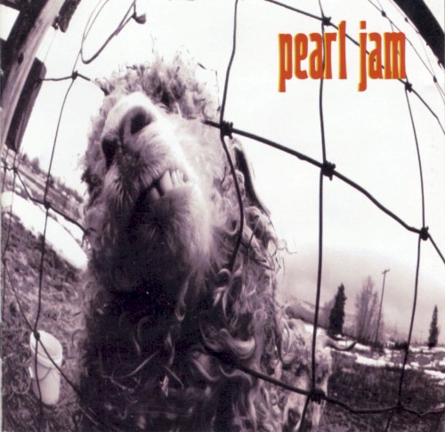 Pearl Jam Vs. album cover